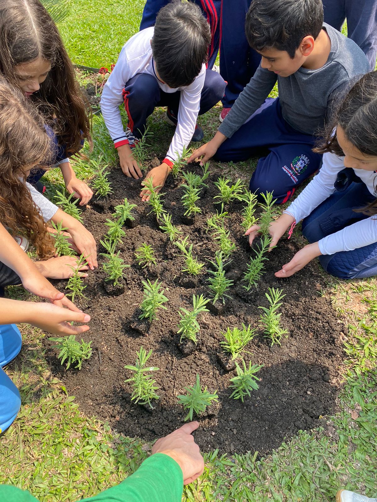 foto plantando